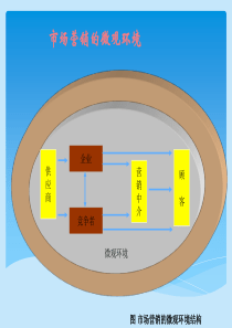 国际市场营销微观环境(中英文)