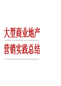 大型商业地产营销实践