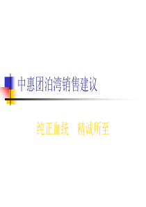 天津中惠团泊湾别墅销售提案XXXX