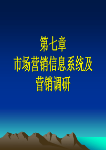 市场营销信息系统及