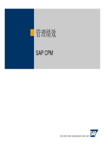 管理绩效SAPCPM