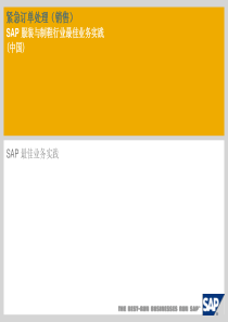 紧急订单处理销售SAP服装与制鞋行业最佳业务实践中国