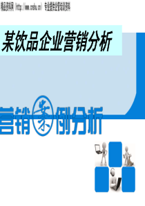 某饮品企业营销分析（PPT30页）