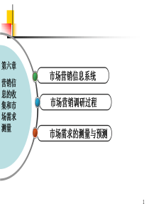 第六章、营销信息的收集和市场需求测量