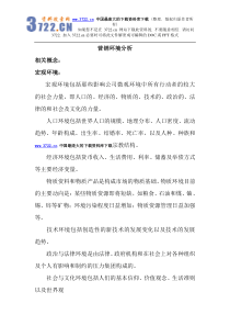 营销环境分析】（DOC176页）(1)