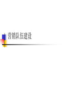 营销队伍建设