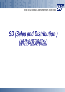 销售与配销模块（PPT 64页）