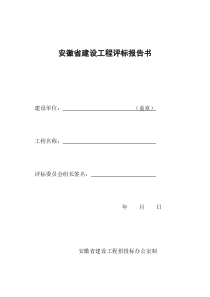 六统一(安徽省建设工程评标报告书)