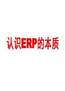 卢总认识ERP的本质