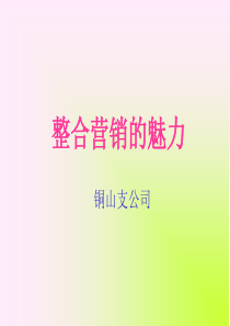 销售工具简介