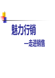 魅力营销新人版