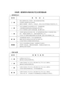 市场类-销售职种(终端市场开发)任职资格标准