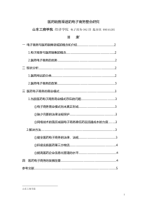 医药销售渠道的电子商务整合研究