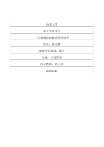 山东联通CDMA整合营销研究