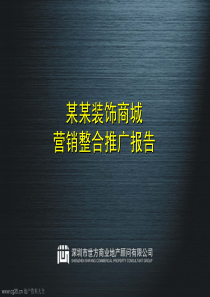 惠州金山湖装饰商城营销整合推广报告(深圳世方商业地产