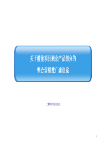 成都橙堡项目剩余产品整合营销推广建议案_102页