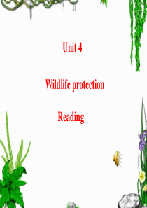 Unit4--wildlife-protection-Reading公开课课件