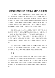 吉林森工集团三岔子林业局ERP应用案例(doc 8)