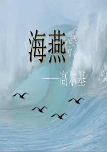 《海燕》公开课优秀课件