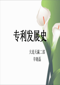 专利发展史--辛晓磊