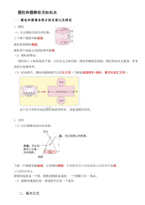 圆柱和圆锥有关知识点总结