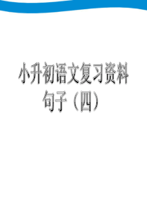 小升初语文专项复习——句子