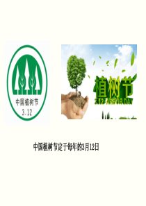 植树的牧羊人公开课优秀课件(定稿)