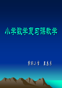 小学数学复习课教学初探