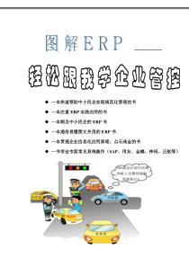 图解ERP--轻松学会企业管控