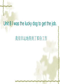 unit-8-I-was-the-lucky-dog-to-get-the-job