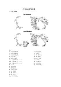 SYNTAX-评分-计算方法(1)