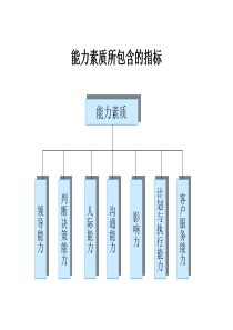 北大纵横—东华工程能力素质所包含的指标