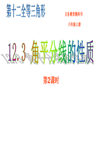 人教2011课标版八年级上册-12.3-角的平分线的判定--课件(共19张PPT)