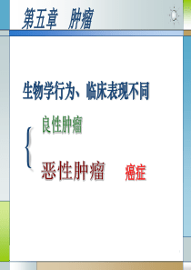 [医学]病理学肿瘤课件