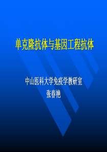 单克隆抗体与基因工程抗体