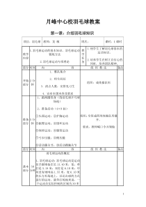 羽毛球教案全