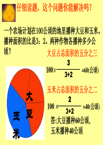 按比例分配应用题(修改)