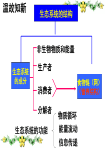 生态系统的稳定性公开课