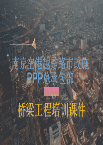 南京空港PPP桥梁工程