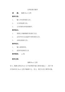 Word文档的基本操作教案