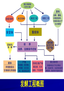 发酵工程课程总结