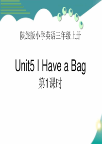 《I-Have-a-Bag》PPT