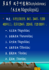 9-10+第八章++被子植物1——木兰亚纲