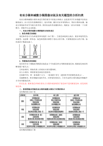 生物-有丝分裂和减数分裂图解-区别和联系