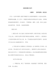 青年教师个人专业发展计划书