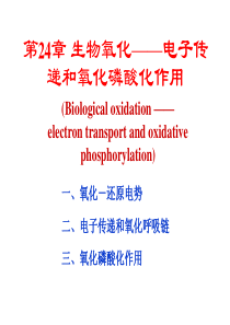 生物氧化——电子传递和氧化磷酸化作用