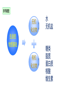 细胞膜的结构及功能