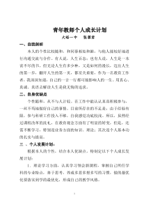 青年教师成长计划