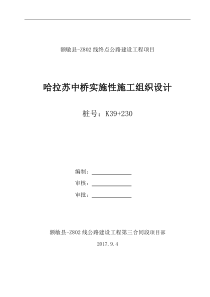 哈拉苏中桥实施性施工组织设计