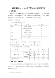 工程实体检测方案